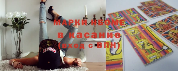 мдпв Богородицк