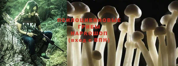 мдпв Богородицк