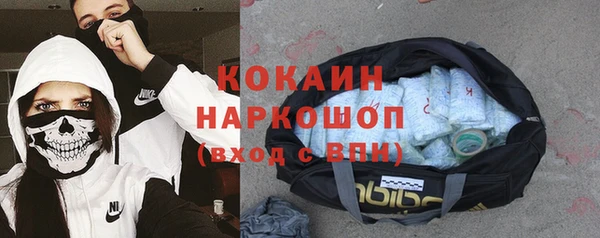 мдпв Богородицк