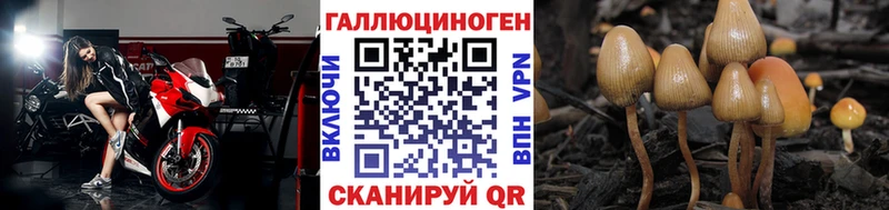 Галлюциногенные грибы мухоморы  дарнет шоп  Сретенск 